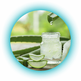 Wyciąg z Aloe vera
